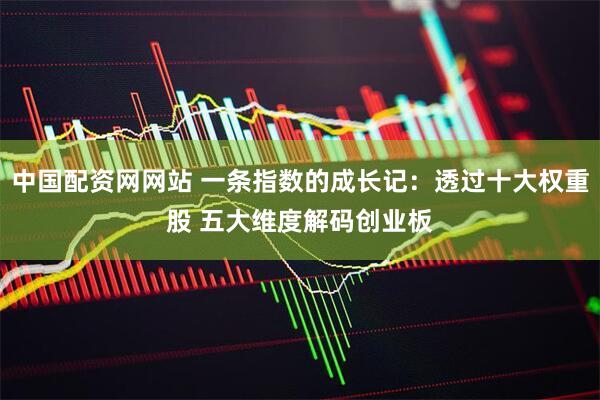 中国配资网网站 一条指数的成长记：透过十大权重股 五大维度解码创业板