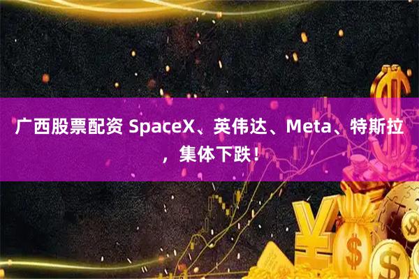 广西股票配资 SpaceX、英伟达、Meta、特斯拉，集体下跌！